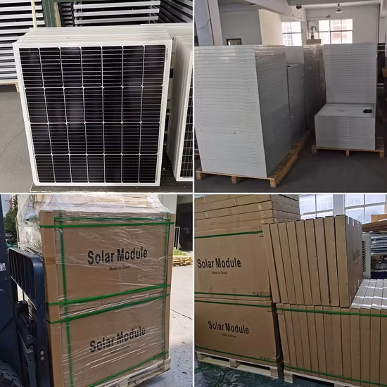 Sunpal 30wp 40wp 50wp 60wp 80wp 100wp 12V kleine Solarpanel-Preisliste